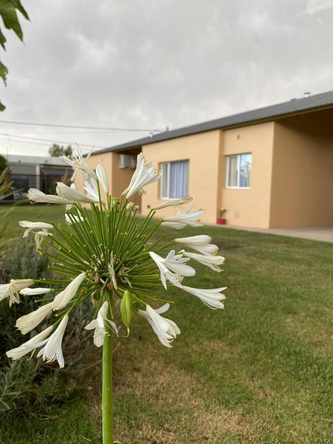 Las Catalpas Macachin  Exterior photo